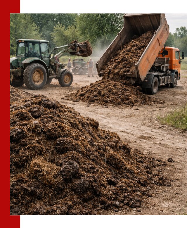 Доставка навоза самосвалами в Назарове для сельхозпотребностей