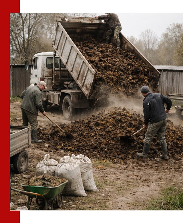 Доставка коровьего навоза самосвалом в Назарове